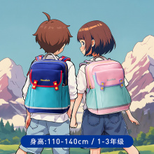 ASS100